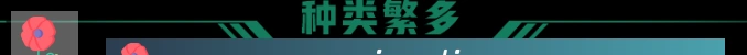 安全合规